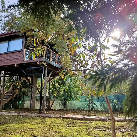 Σαλέ Karma Natura Treehouse Agva (Marmara)