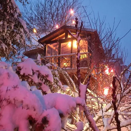 Karma Natura Treehouse * Agva (Marmara)