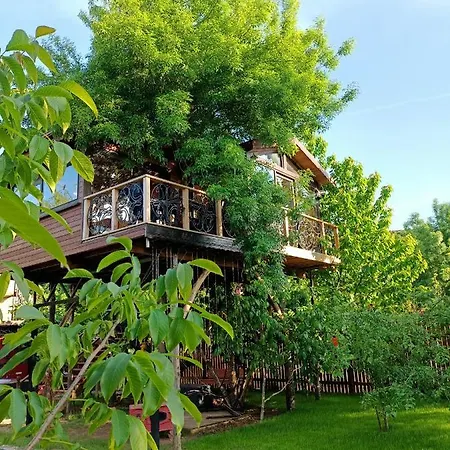 Karma Natura Treehouse Ağva